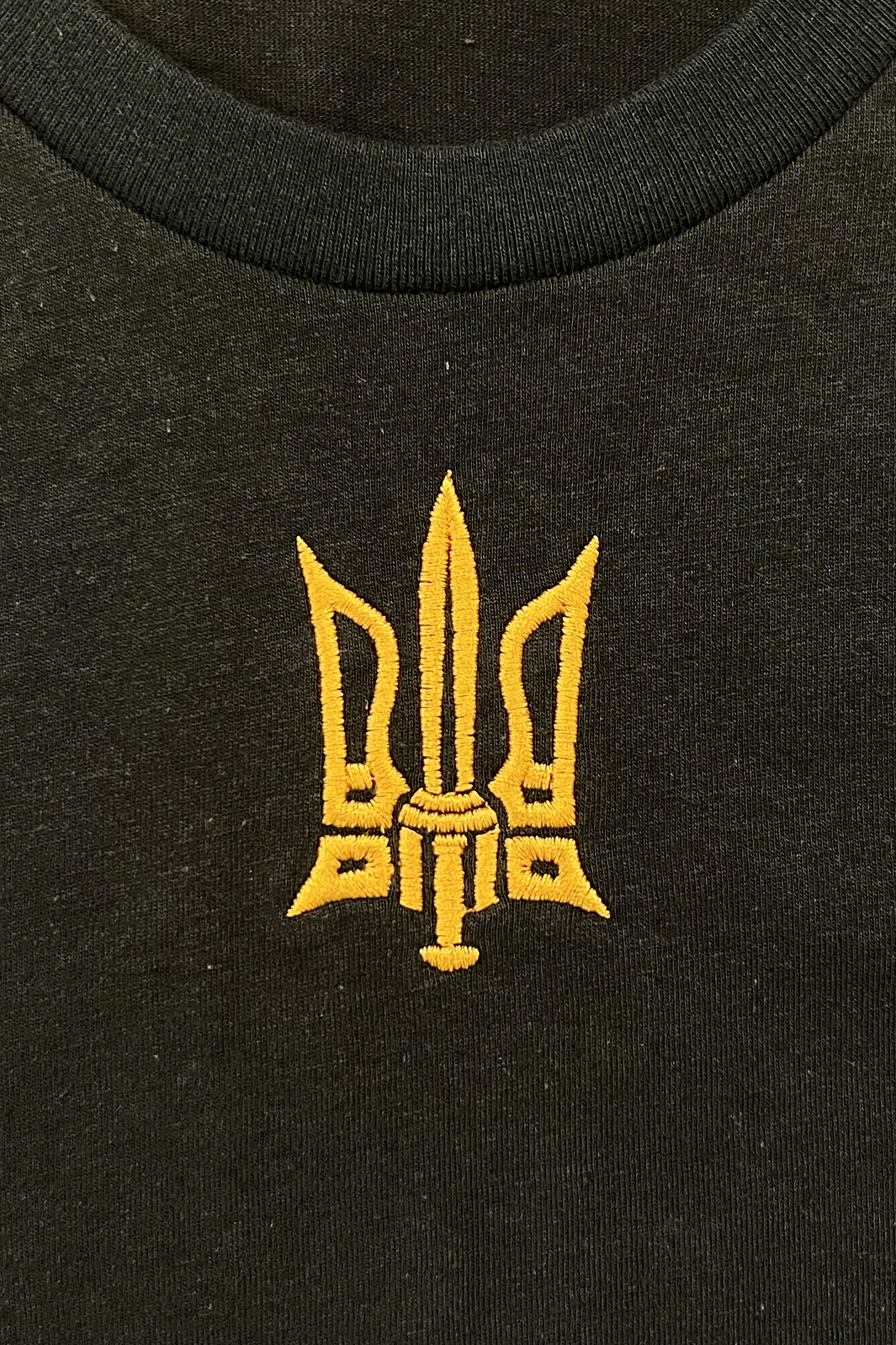 Kid's embroidered t-shirt "Combat Tryzub"