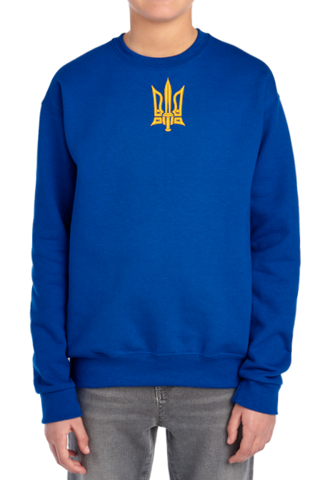 Kids' embroidered sweatshirt "Tryzub"